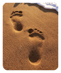 Footprints Beach